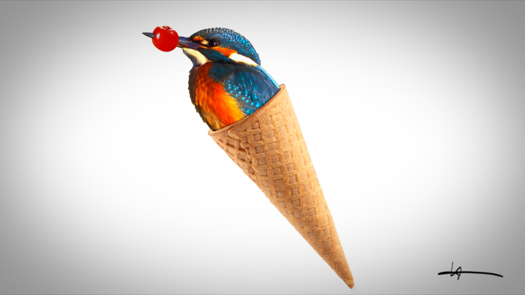 Eisvogel         
